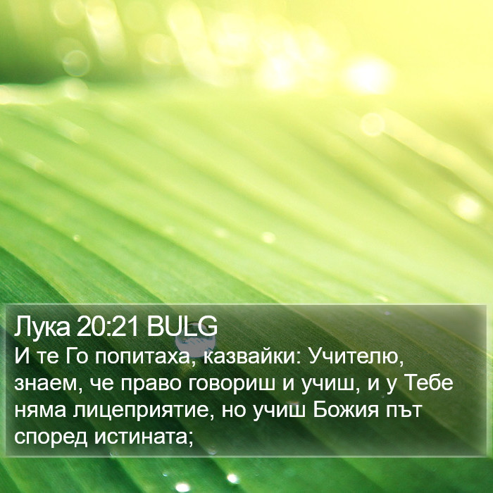 Лука 20:21 BULG Bible Study