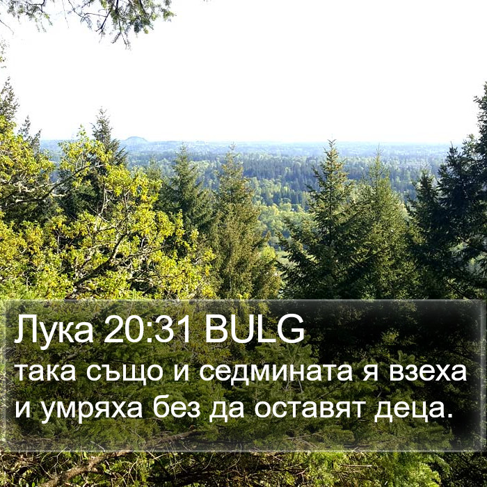 Лука 20:31 BULG Bible Study