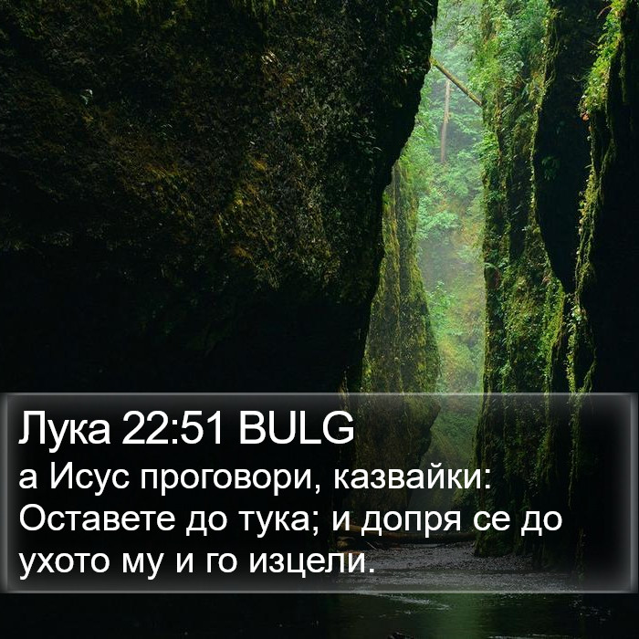 Лука 22:51 BULG Bible Study