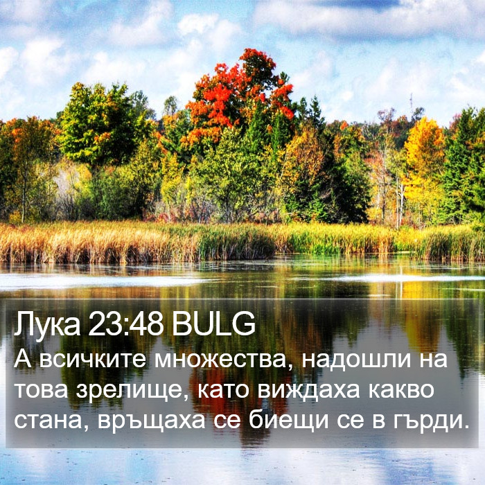 Лука 23:48 BULG Bible Study