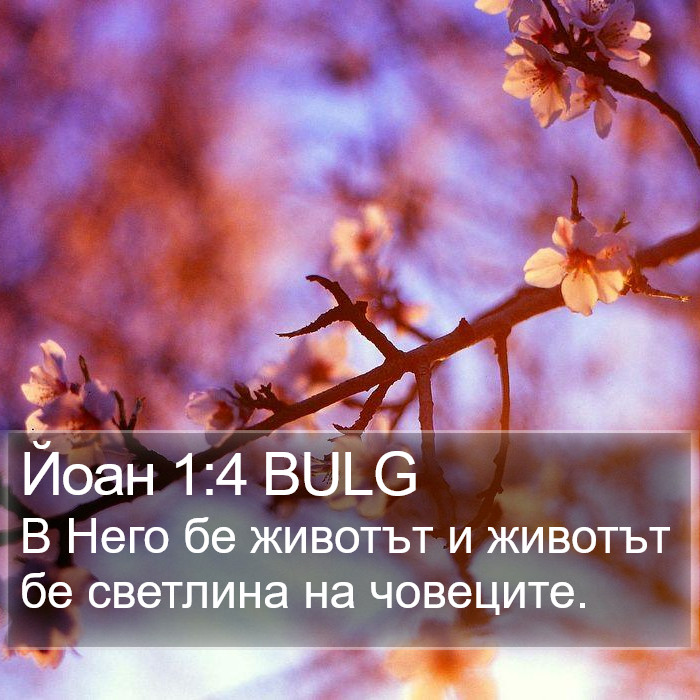 Йоан 1:4 BULG Bible Study