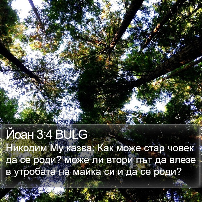 Йоан 3:4 BULG Bible Study