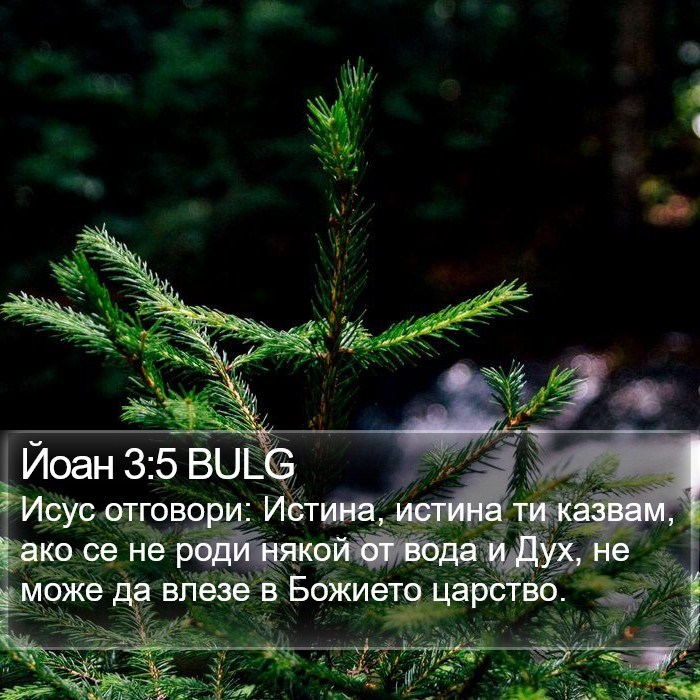 Йоан 3:5 BULG Bible Study