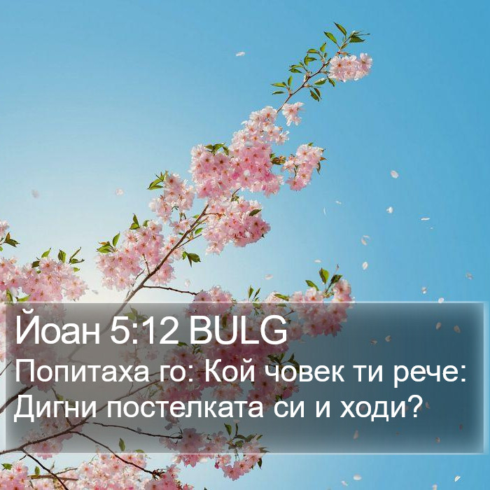 Йоан 5:12 BULG Bible Study