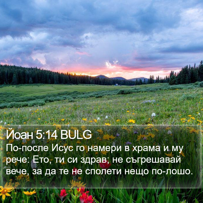 Йоан 5:14 BULG Bible Study