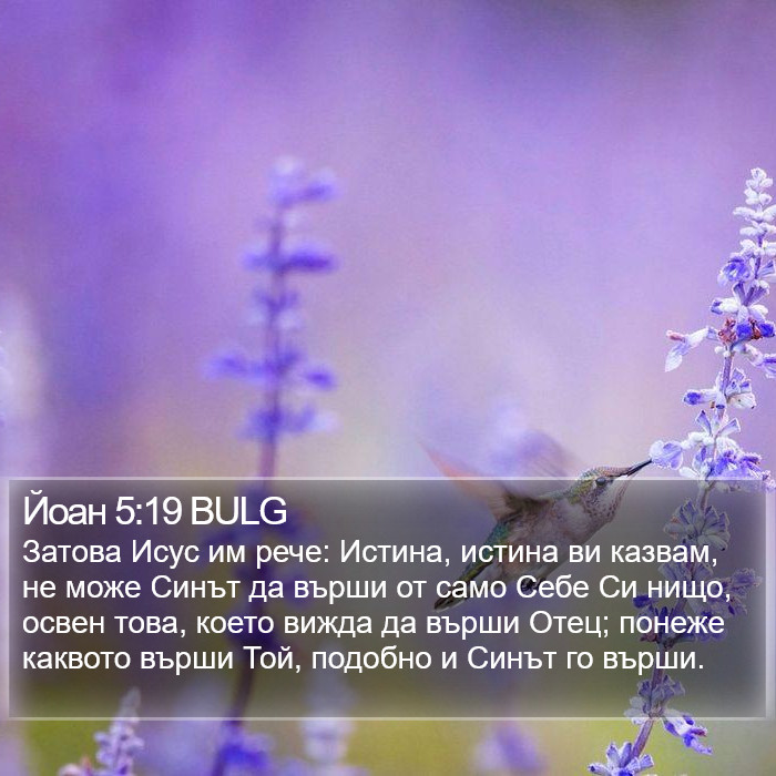 Йоан 5:19 BULG Bible Study