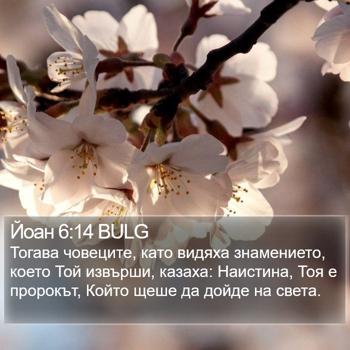 Йоан 6:14 BULG Bible Study