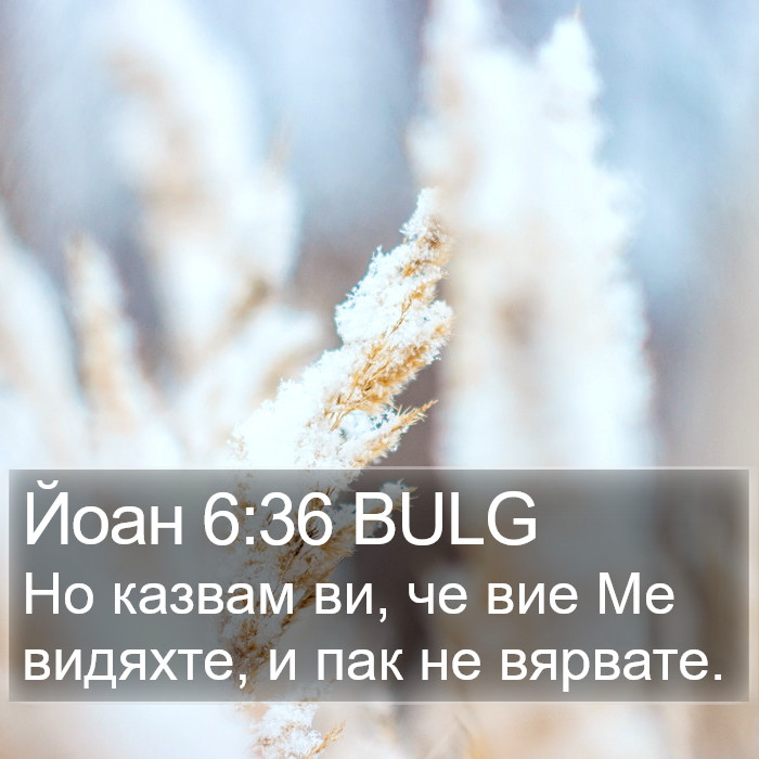 Йоан 6:36 BULG Bible Study