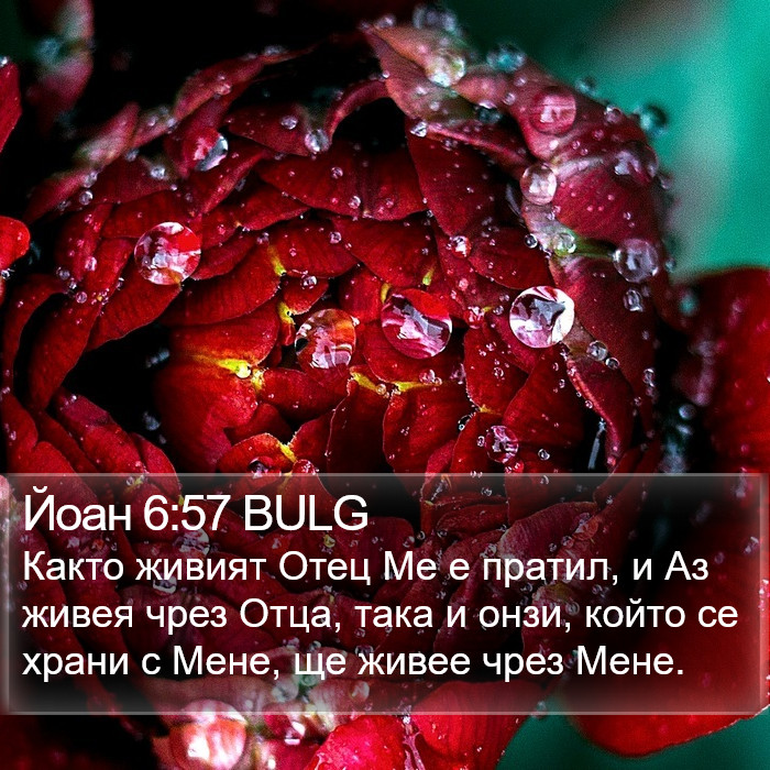 Йоан 6:57 BULG Bible Study