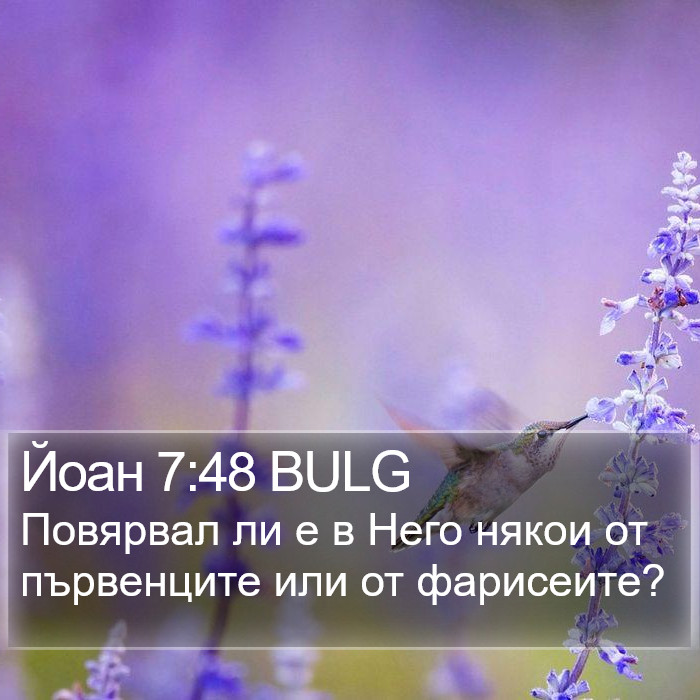 Йоан 7:48 BULG Bible Study