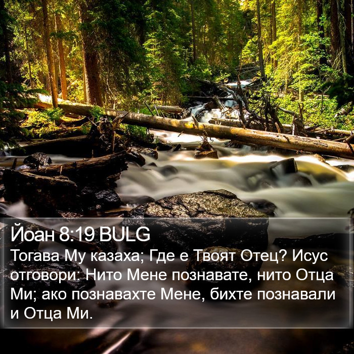 Йоан 8:19 BULG Bible Study