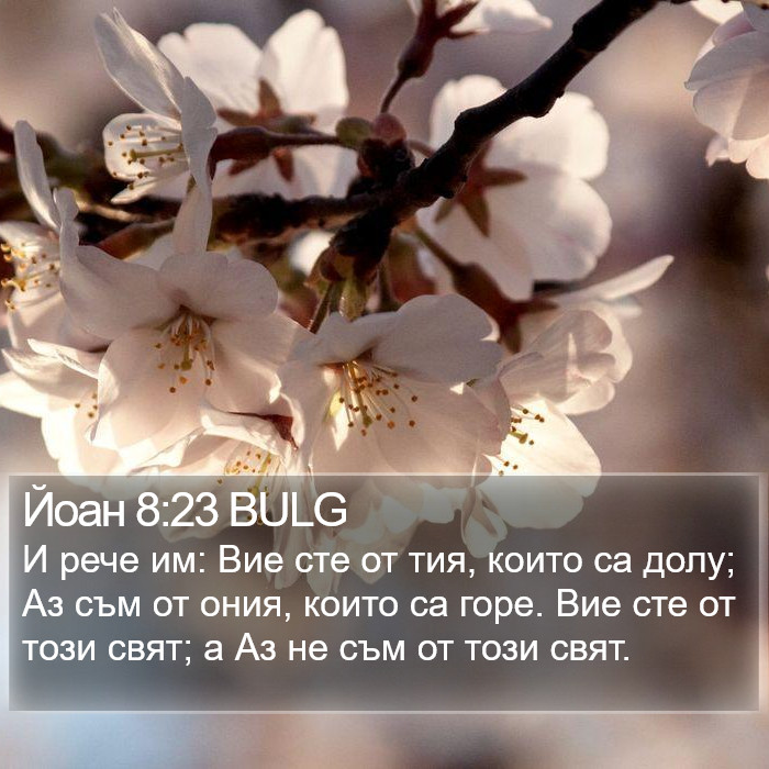 Йоан 8:23 BULG Bible Study