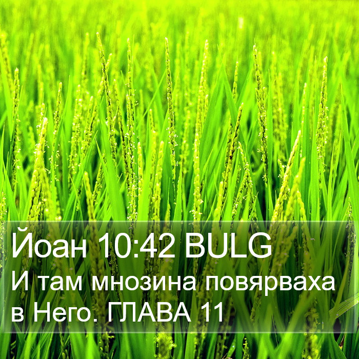 Йоан 10:42 BULG Bible Study