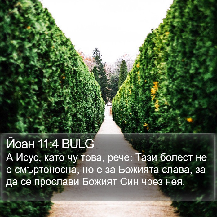 Йоан 11:4 BULG Bible Study