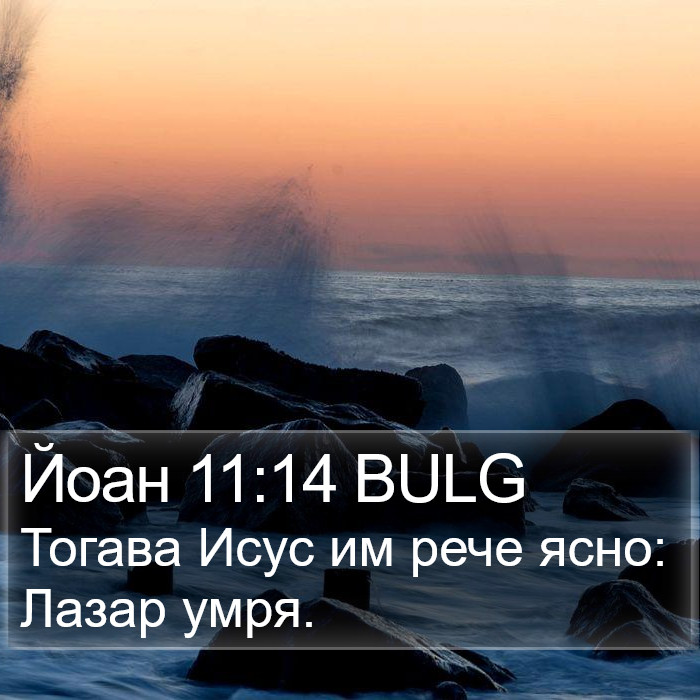 Йоан 11:14 BULG Bible Study