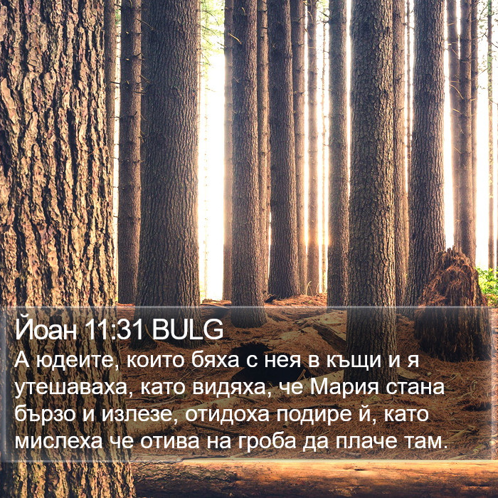 Йоан 11:31 BULG Bible Study