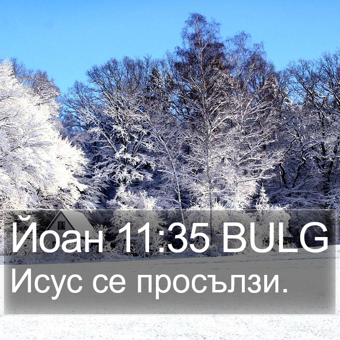 Йоан 11:35 BULG Bible Study