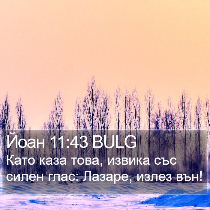 Йоан 11:43 BULG Bible Study