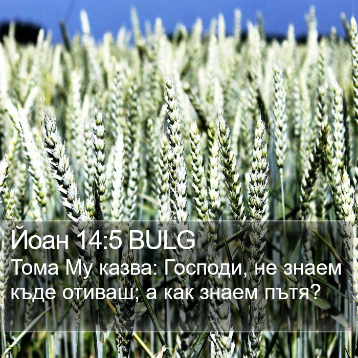 Йоан 14:5 BULG Bible Study