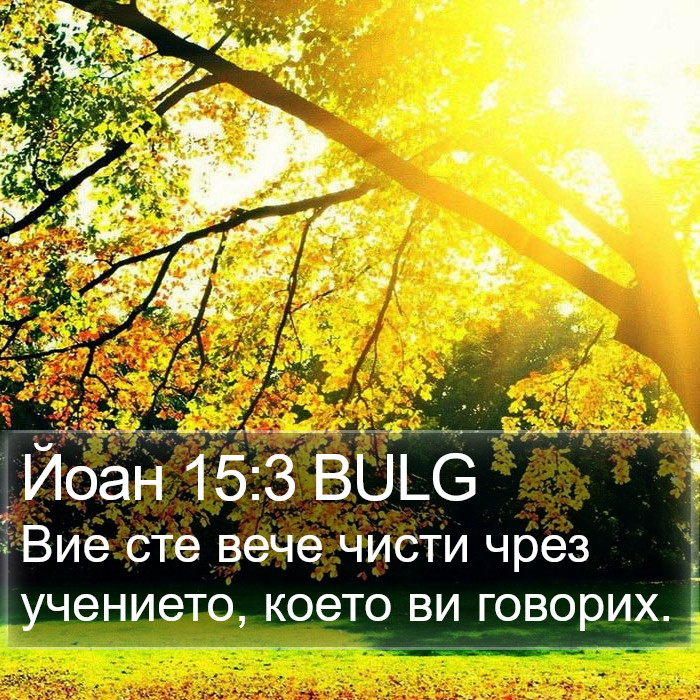 Йоан 15:3 BULG Bible Study