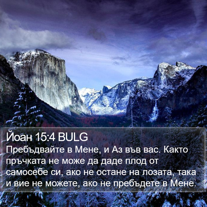 Йоан 15:4 BULG Bible Study