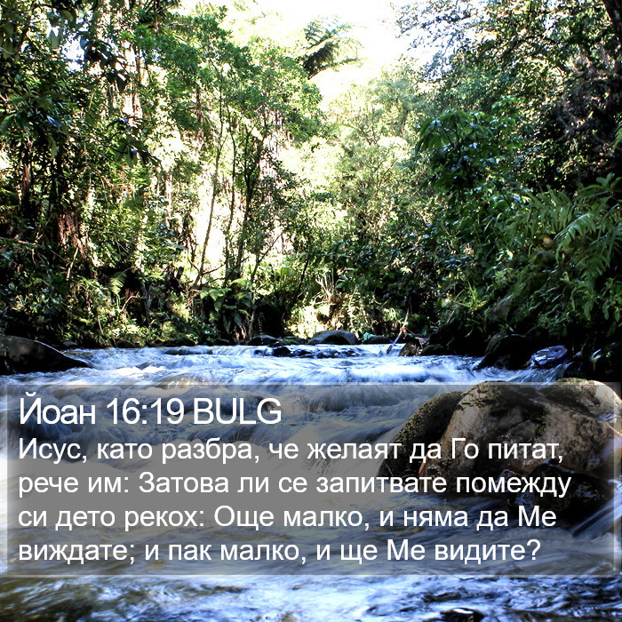 Йоан 16:19 BULG Bible Study