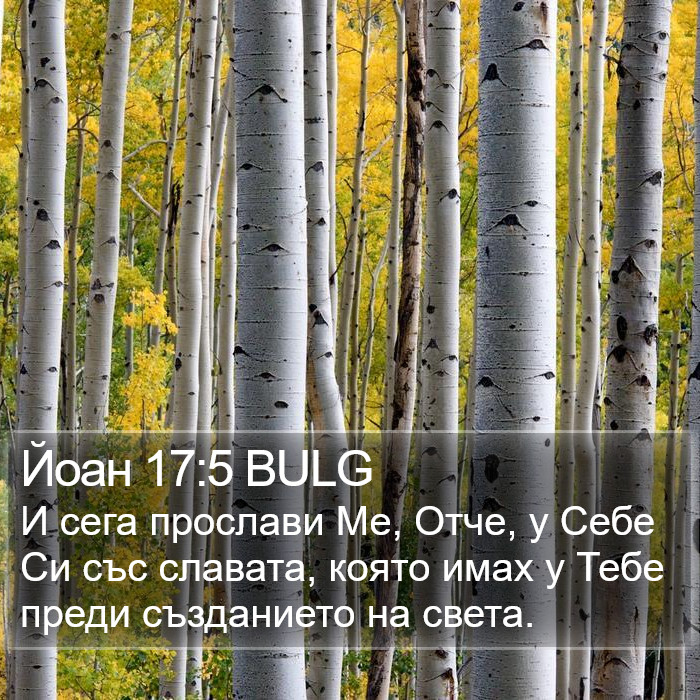 Йоан 17:5 BULG Bible Study