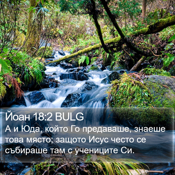 Йоан 18:2 BULG Bible Study