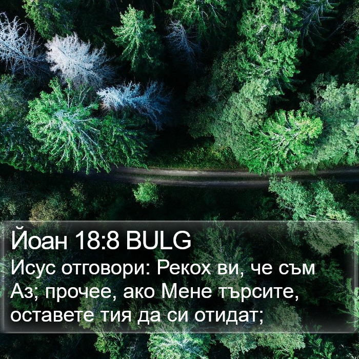 Йоан 18:8 BULG Bible Study