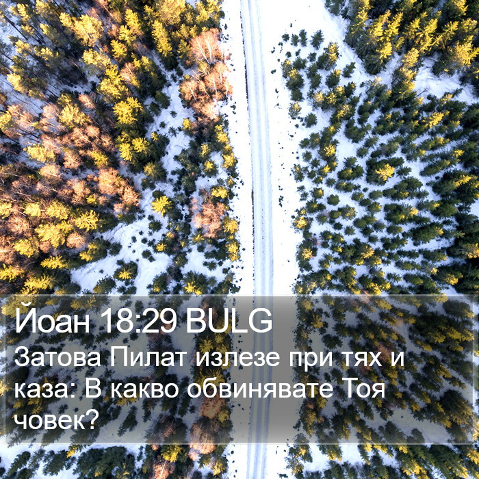 Йоан 18:29 BULG Bible Study