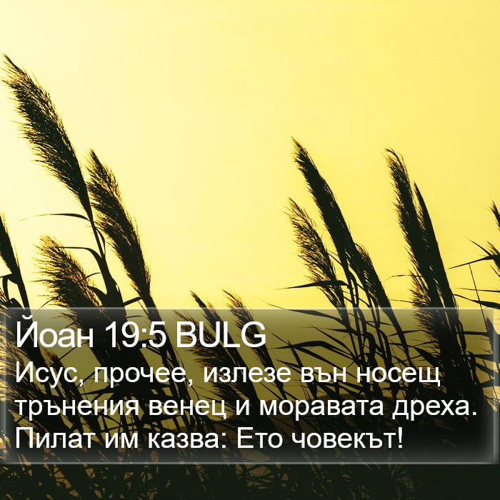 Йоан 19:5 BULG Bible Study