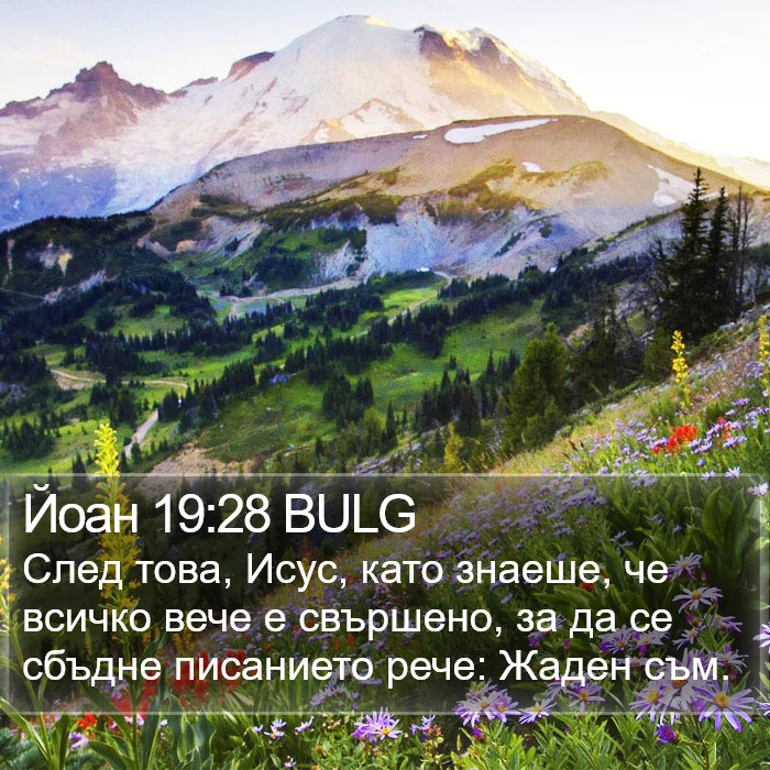 Йоан 19:28 BULG Bible Study