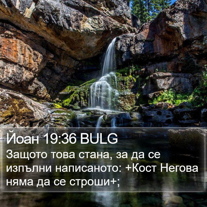 Йоан 19:36 BULG Bible Study