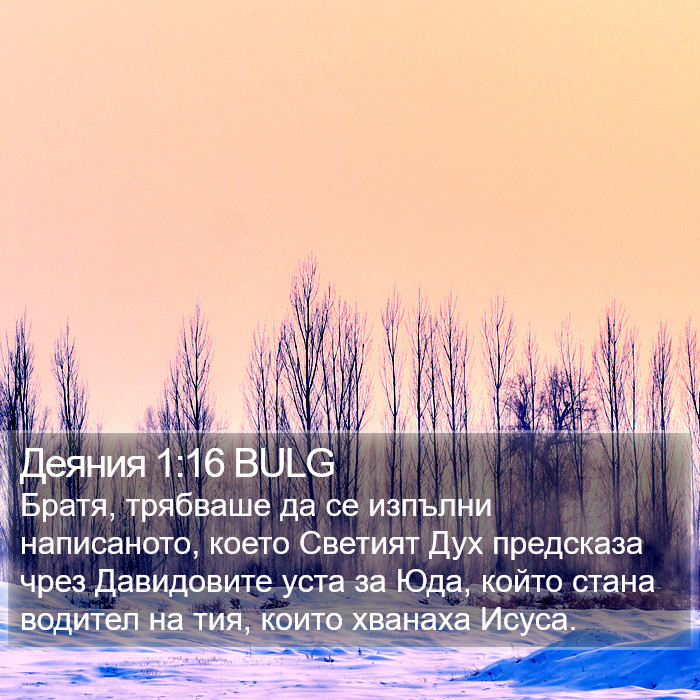 Деяния 1:16 BULG Bible Study