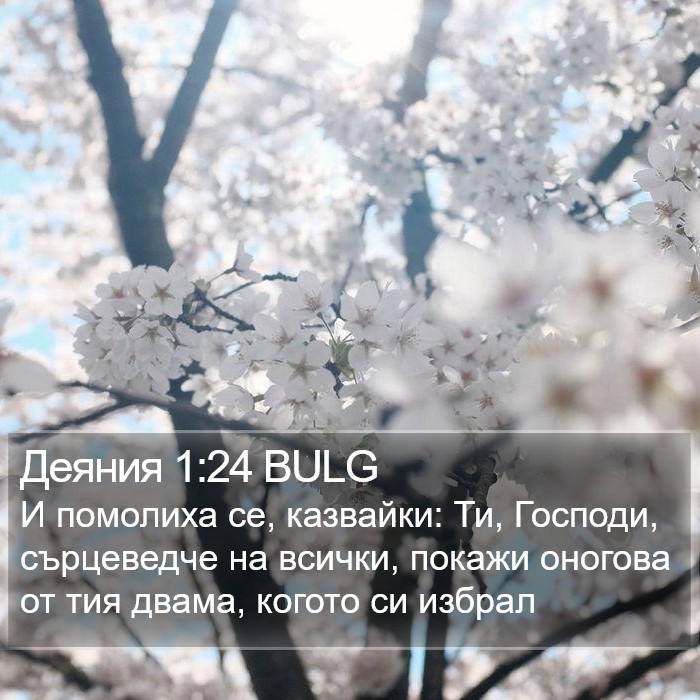 Деяния 1:24 BULG Bible Study