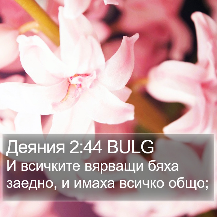 Деяния 2:44 BULG Bible Study