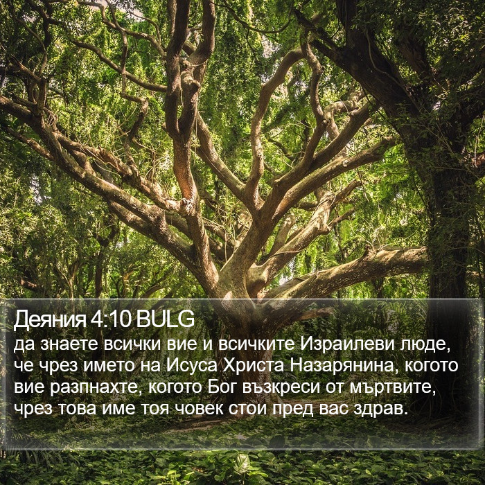 Деяния 4:10 BULG Bible Study