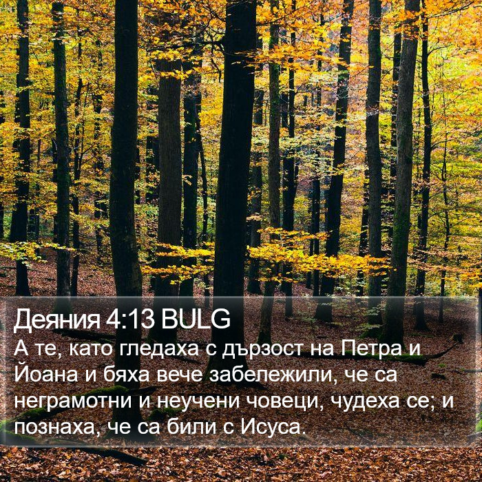 Деяния 4:13 BULG Bible Study