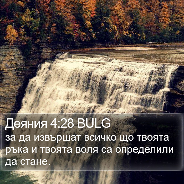 Деяния 4:28 BULG Bible Study