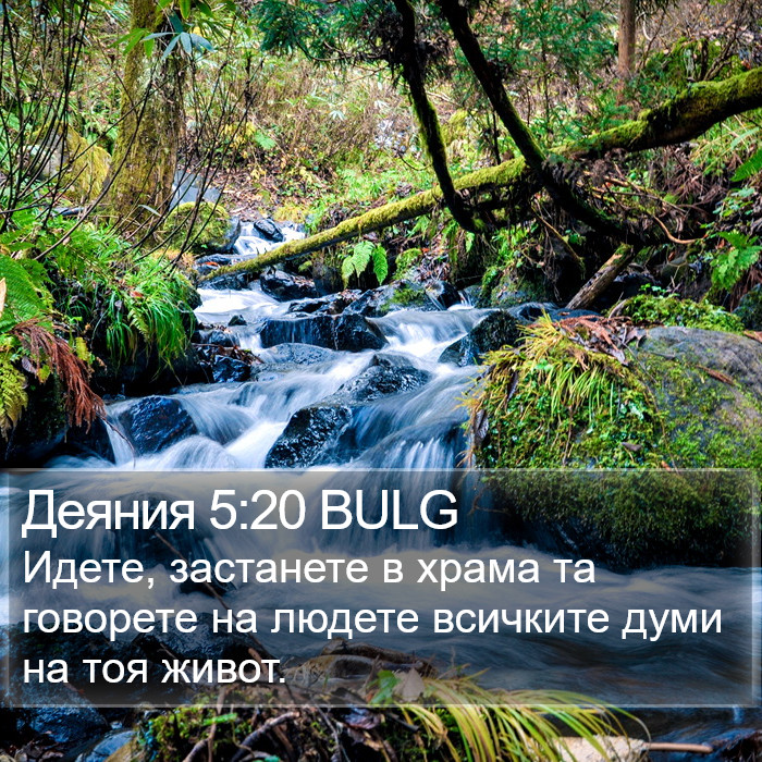 Деяния 5:20 BULG Bible Study