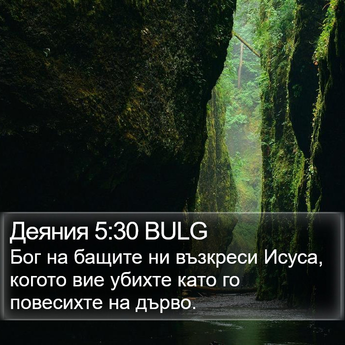 Деяния 5:30 BULG Bible Study