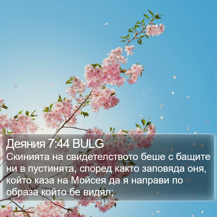 Деяния 7:44 BULG Bible Study