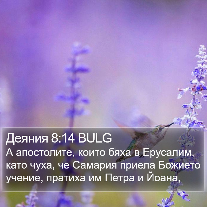 Деяния 8:14 BULG Bible Study