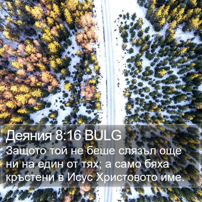 Деяния 8:16 BULG Bible Study