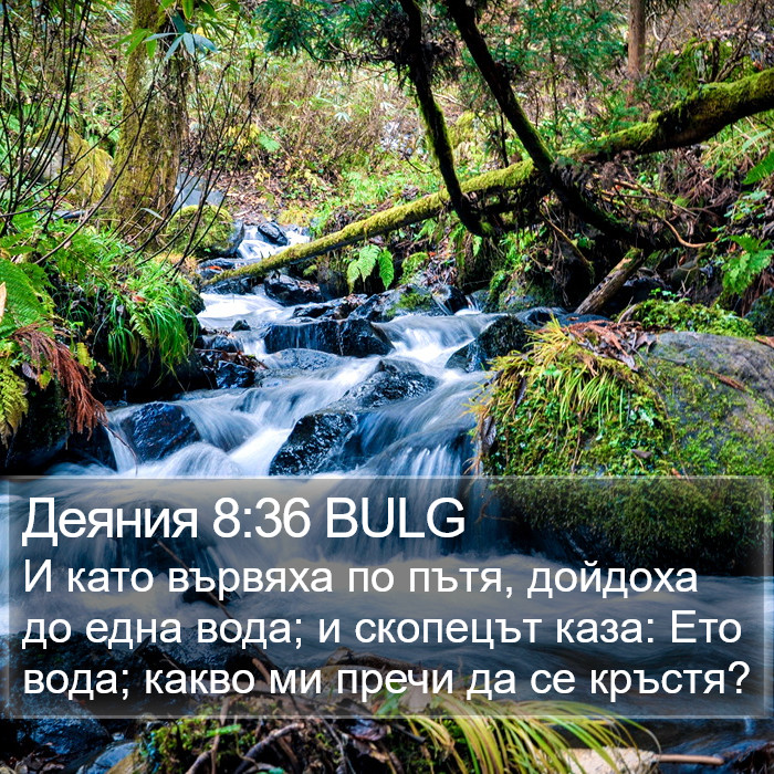 Деяния 8:36 BULG Bible Study