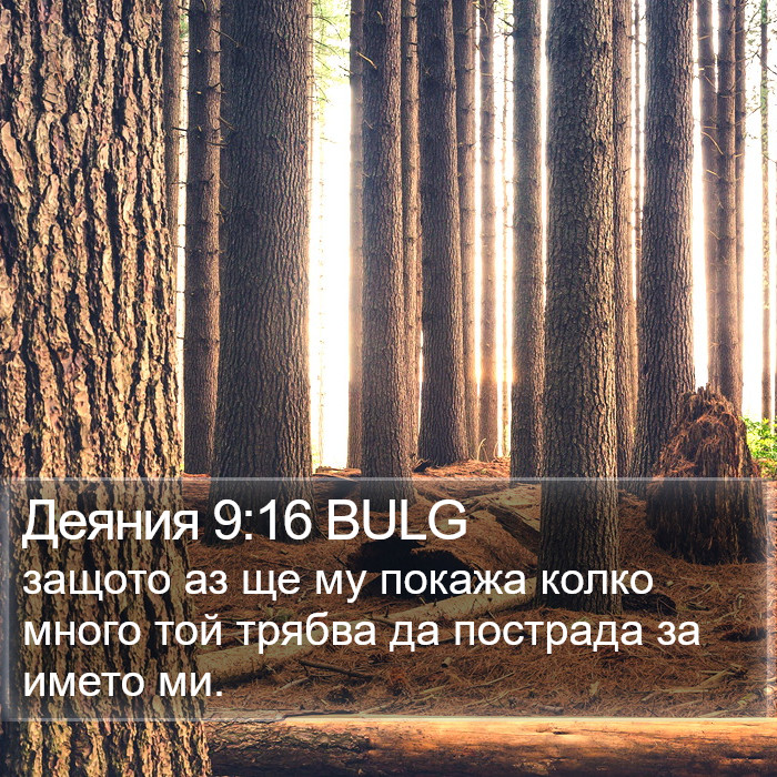 Деяния 9:16 BULG Bible Study