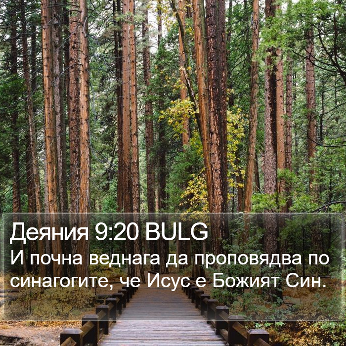 Деяния 9:20 BULG Bible Study