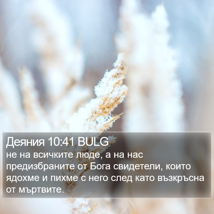 Деяния 10:41 BULG Bible Study