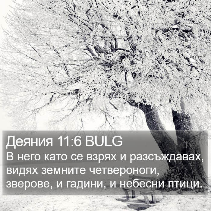 Деяния 11:6 BULG Bible Study