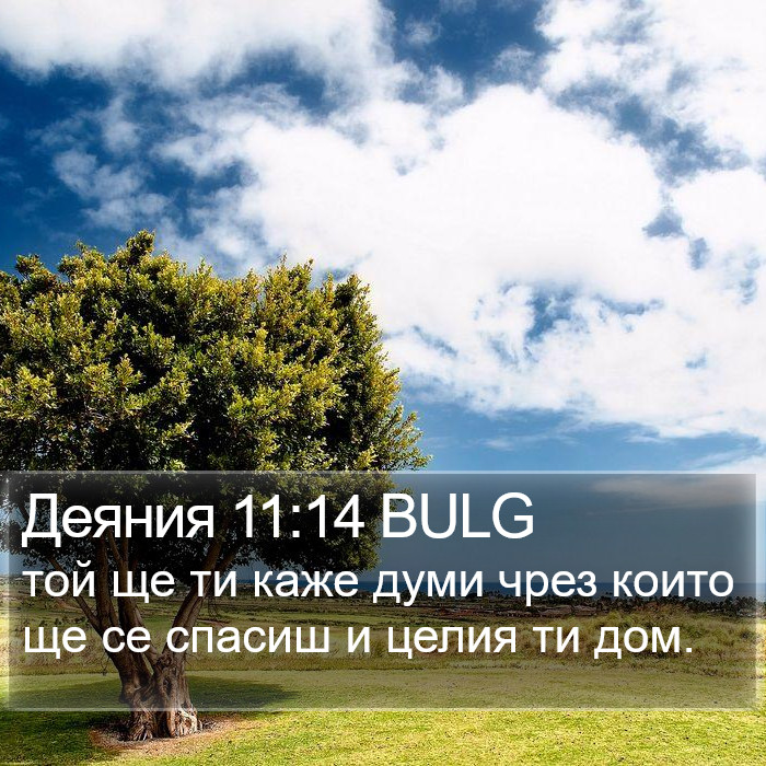 Деяния 11:14 BULG Bible Study